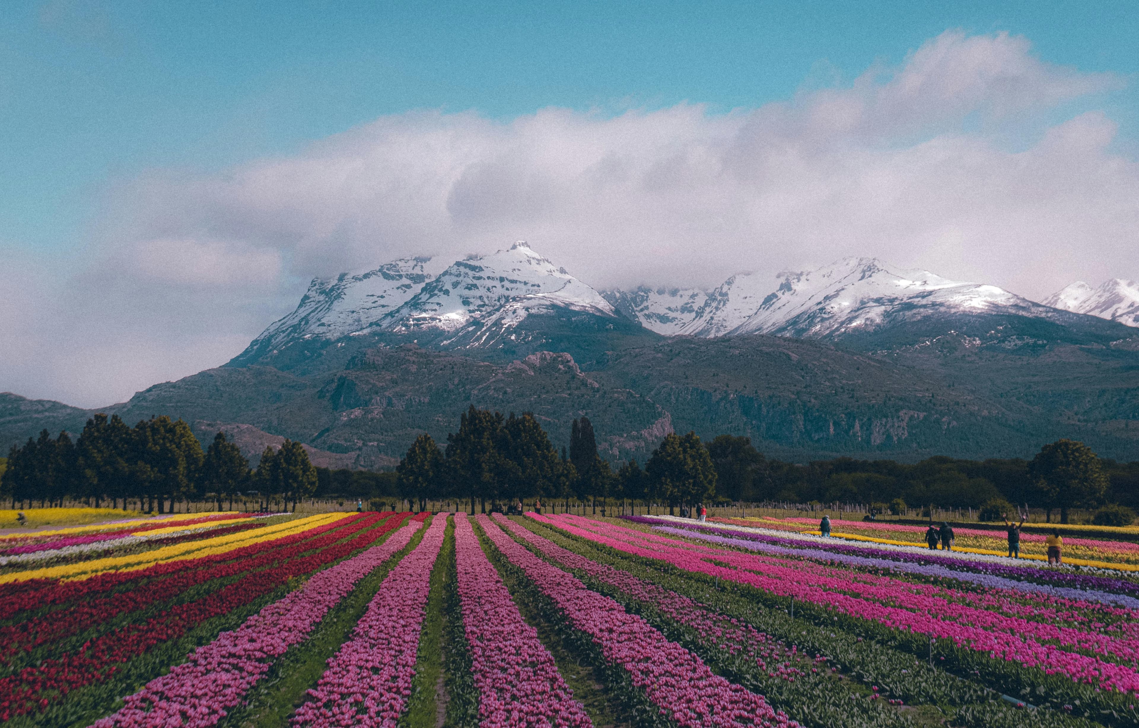 Mountain landscape in South America